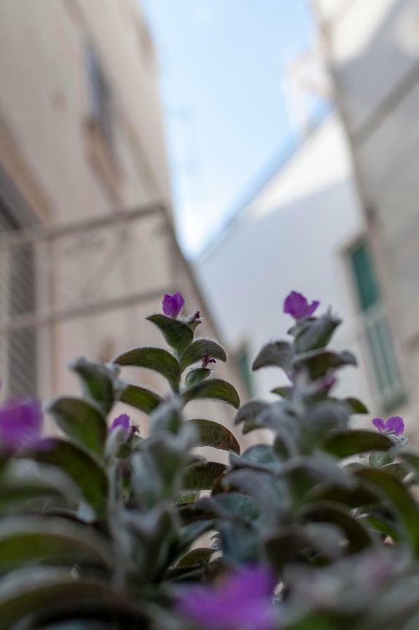La Casetta Vico San Leonardo โมโนโปลี ภายนอก รูปภาพ